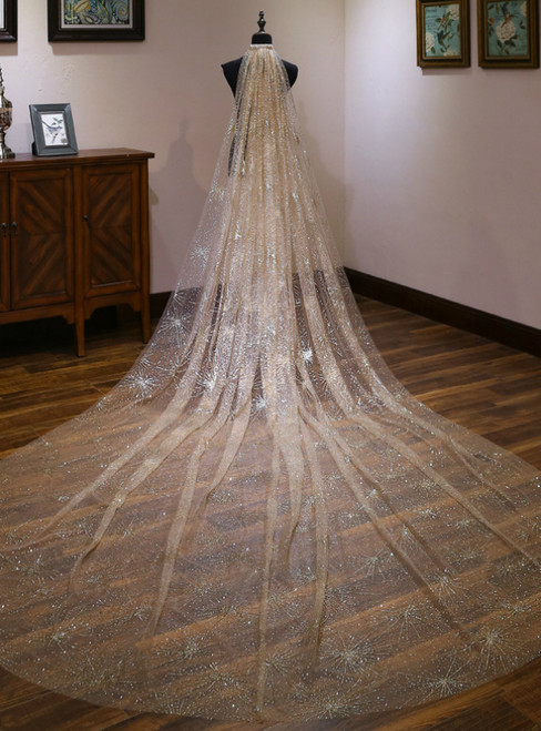 In Stock:Ship in 48 Hours Champagne Gold Sequins Tulle Long Wedding Veils