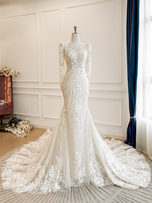 Mermaid Tulle Lace Long Sleeve Wedding Dress