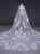 In Stock:Ship in 48 Hours Long Veils Tulle Lace Wedding Veils