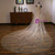 In Stock:Ship in 48 Hours Champagne Gold Sequins Tulle Long Wedding Veils