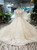 Ball Gown Tulle Lace Appliques Off the Shoulder Wedding Dress With Feather