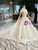 Tulle Lace Appliques Sequins Off the Shoulder Champange Wedding Dress