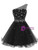A-Line Purple Tulle One Shoulder Beading Crystal Homecoming Dress