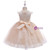 In Stock:Ship in 48 Hours Champagne Tulle Lace Girl Dress With Pearls