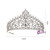 Zircon Crown Queen Rhinestone Princess Tiara