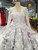 Gray Ball Gown V-neck Tulle Long Sleeve Butterfly Luxury Wedding Dress