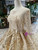 Champagne Tulle Sequins Long Sleeve Beading Luxury Wedding Dress