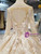 Champagne Tulle Appliques Long Sleeve Open Back Luxury Wedding Dress