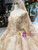 Champagne Tulle Sequins Long Sleeve Backless Luxury Wedding Dress With Beading