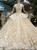 Champagne Tulle Sequins Appliques Cap Sleeve Backless Luxury Wedding Dress With Beading