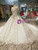 Champagne Ball Gown Tulle Cap Sleeve Gray Appliques Backless Luxury Wedding Dress