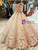 Dark Champagne Sequins Off the Shoulder Appliques Luxury Wedding Dress