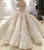 Crystal beaded applique ball gown wedding dress with off the shoulder neckline