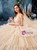 Champagne Tulle Spaghetti Staps Lace Appliques Backless Wedding Dress