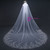 In Stock:Ship in 48 Hours Tulle Appliques Long Brides Veil 