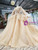 Champagne Tulle Appliques Backless Beading Luxury Wedding Dress With Shawl