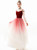 In Stock:Ship in 48 Hours Burgundy Tulle Long Sleeve Prom Dress