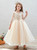 Champagne Tulle Long Sleeve Appliques Flower Girl Dress