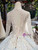 Light Blue Ball Gown Tulle Appliques Long Sleeve Backless Wedding Dress