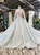 Light Blue Ball Gown Tulle Appliques Long Sleeve Backless Wedding Dress