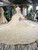 Dark Champagne Tulle Appliques Backless Wedding Dress With Long Train