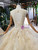 Dark Champagne Tulle Appliques Backless Wedding Dress With Long Train