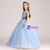 Blue Tulle V-neck Appliques Sleeveless Flower Girl Dress