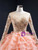 Orange Ball Gown Tulle Tiers Long Sleeve Appliques Prom Dress