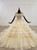 Champagne Gold Ball Gown Tulle Sequins Cap Sleeve Backless Wedding Dress