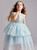 In Stock:Ship in 48 Hours Blue Tulle Embroidery Cap Sleeve Flower Girl Dress 2020
