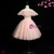 Brand New Pink Ball Gown Tulle Scoop Knee Length Flower Girl Dress