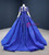 Fit Your Body Type Royal Blue Ball Gown Organza Beading Long Sleeve Prom Dress