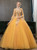 In Stock:Ship in 48 Hour Gold Tulle V-neck Long Sleeve Quinceanera Dress