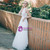 A-Line White Tulle Lace Halter Sleeveless Wedding Dress