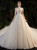 Champagne Tulle Sequins Short Sleeve Appliques Beading Wedding Dress