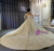 Adorable Champagne Tulle Sequins Long Sleeve Beading Wedding Dress