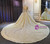 Champagne Sequins Beading Wedding Dress With Long Train