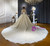 V-neck Sequins Long Sleeve Beading Wedding Dress