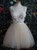 Ivory Tulle V-neck Appliques Homecoming Dress