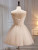 Champagne Tulle Spaghetti Straps Appliques Homecoming Dress