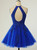 Royal Blue Tulle Halter Backless Appliques Homecoming Dress