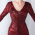 In Stock:Ship in 48 Hours Burgundy V-neck Long Sleeve Party Dress