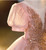 Pink Tulle Puff Sleeve Beading Sequins Quinceanera Dress