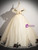 Champagne Tulle Embroidery Appliques Quinceanera Dress