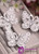 Wedding Hair Ornaments With Rhinestones Cute Lace