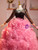 Pink Tulle Long Sleeve 3D Tulle Flower Quinceanera Dress
