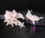 hairpin wedding hair accessories pink fluffy feather yarn crep flower