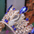 Blue Phoenix studio with female headdress crown crown princess crown bride jewelry alloy