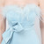 In Stock:Ship in 48 Hours Sky BlueStrapless Bow Party Dress