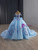 Light Blue Tulle Long Sleeve Appliques Prom Dress